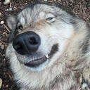 avatar 🐺🐺🐺🐺🐺🐺🐺🐺🐺🐺🐺🐺🐺🐺🐺🐺