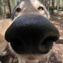 avatar 🐺🐺🐺🐺🐺🐺🐺🐺🐺🐺🐺🐺🐺🐺🐺🐺