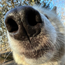 avatar 🐺🐺🐺🐺🐺🐺🐺🐺🐺🐺🐺🐺🐺🐺🐺🐺