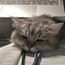 avatar Φλόγα του Ήλιου