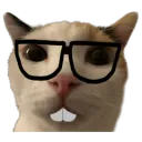 calabunga567