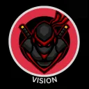v_vision