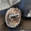 ciwei0947