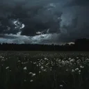 silentinmind