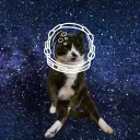 spacecattom3040