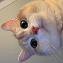 avatar 구종팔랑귀