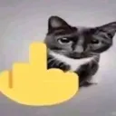 vietdzoachxalach avatar