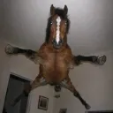 angedelamort985