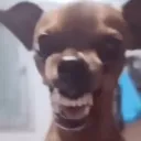herculesonnothing