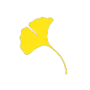 chadsumi