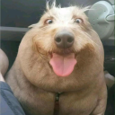 avatar Передозировка