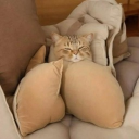 avatar Liễu Yếu Đào To 🍑