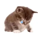 extrwme