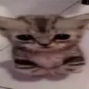 0xspades