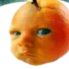 pumkin1337