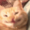 Аватарка Антон