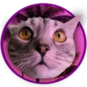 movsya1
