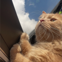 avatar الفتى اللعوب