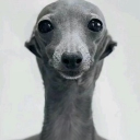 avatar .SkinnyJeansThomas69