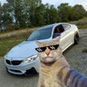 muzammilopyt