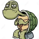beholdtheturtle