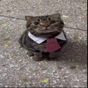 avatar Flow state in the bruh dimension