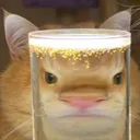 mrkippo