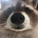 wgiagain