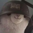 innatealpaca