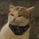 ElPanaMaruko member profile picture