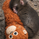 avatar I LOVE PUNCH-KUN