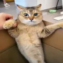 3versince707