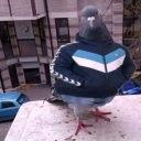 Discord Avatar