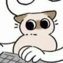hunshuimaomaosleppy_cat