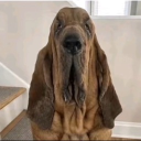 avatar Neighbour’s Kid