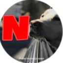 newo111222