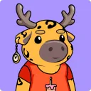 rivaschino