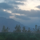 avatar MohammadrezaMo