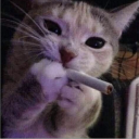 y_e_p.i.mi.c_.ed's Avatar