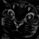 meow.hecker.