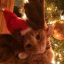 avatar 𝔐𝔦𝔩𝔩𝔦𝔢☽