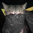 avatar RickyRe10૮₍´˶• . • ⑅ ₎ა