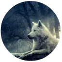 lonewolf1668