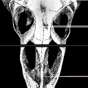 eddingsaurus_rex