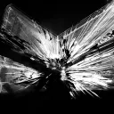 mizutori.art