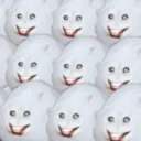bloxycd
