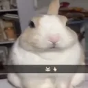 nooooo_ooo