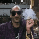 avatar snoop d. G