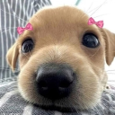 avatar ✨Cleeeeeenngy