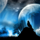 Avatar of D